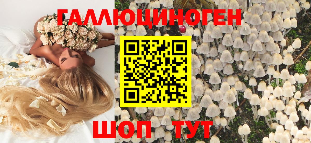 Псилоцибиновые грибы GOLDEN TEACHER  Вход с VPN  Ярцево 